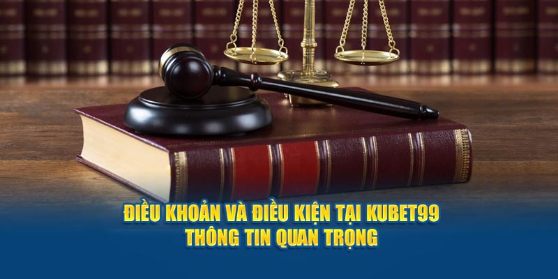 dieu-khoan-va-dieu-kien-tai-hubet-thong-tin-quan-trong