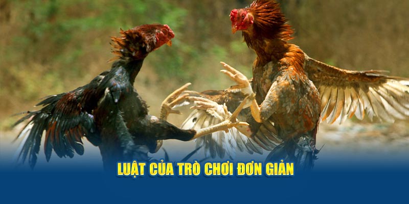 luat-cua-tro-choi-don-gian