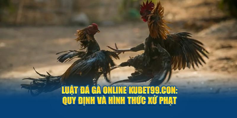 luat-da-ga-online-hubet-com-quy-dinh-va-hinh-thuc-xu-phat