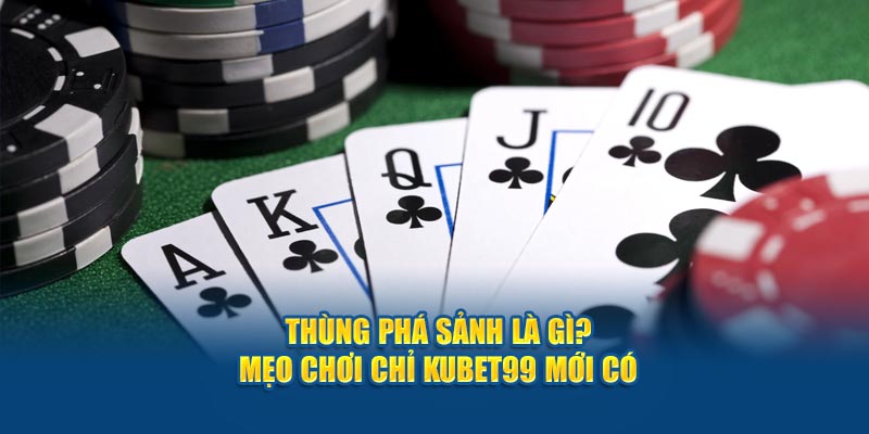 thung-pha-sanh-la-gi-meo-choi-chi-hubet-moi-co 